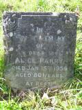image of grave number 105308